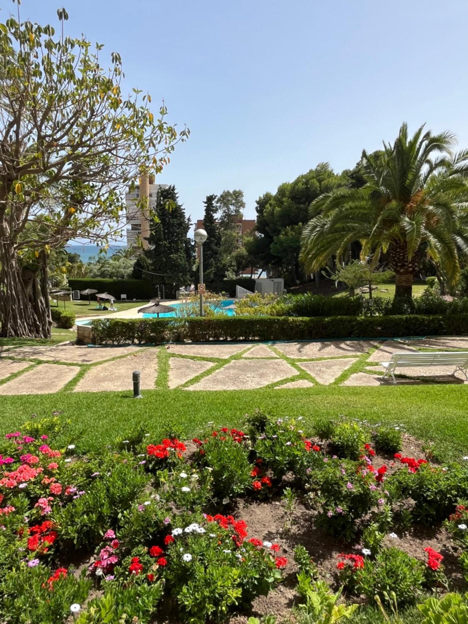 Parque La Chicharra Near Alicante And Beach Dış mekan fotoğraf