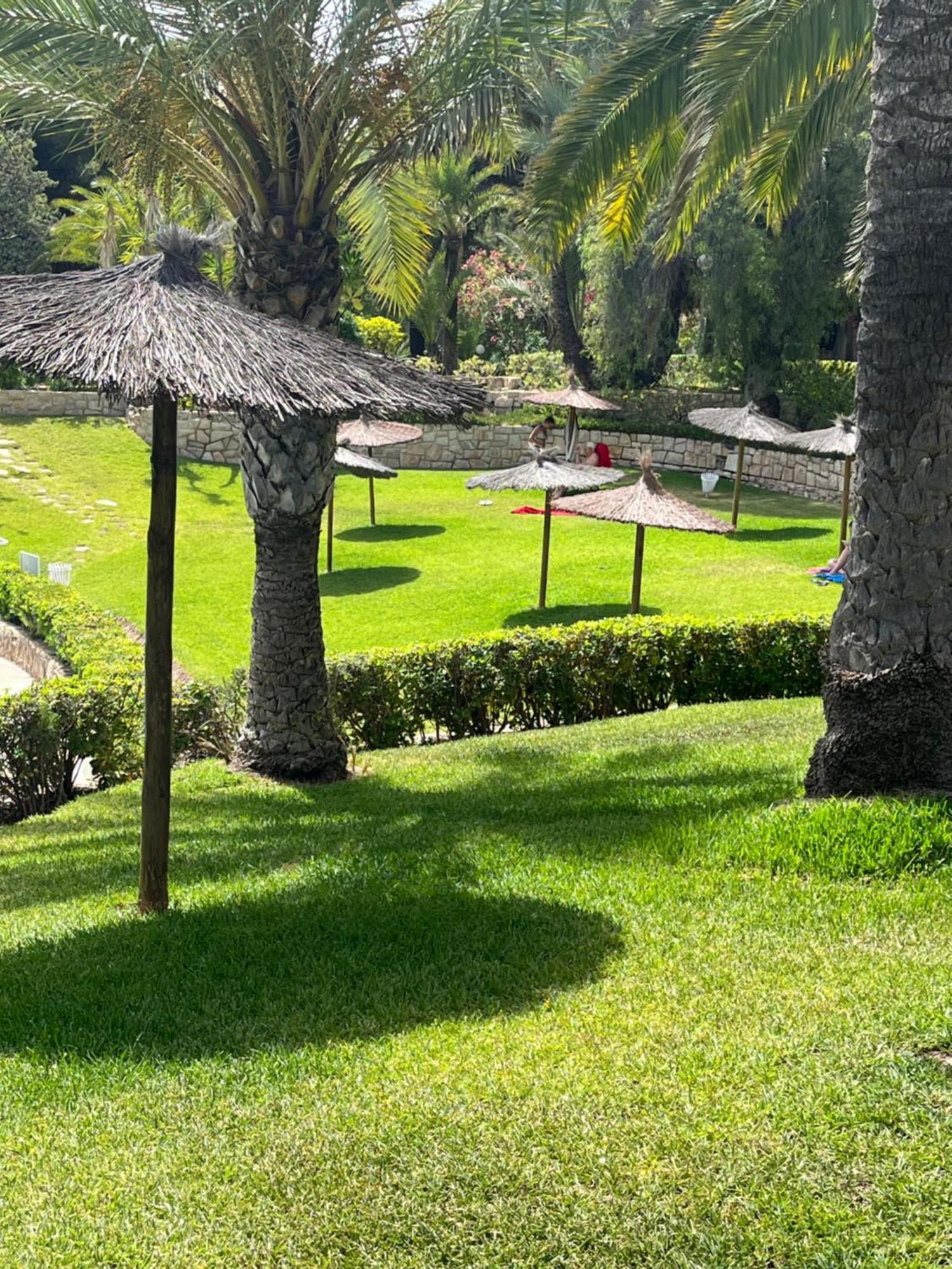 Parque La Chicharra Near Alicante And Beach Dış mekan fotoğraf