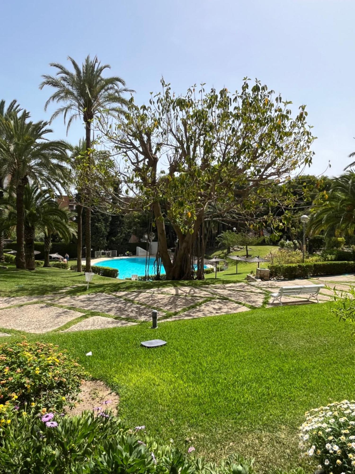 Parque La Chicharra Near Alicante And Beach Dış mekan fotoğraf